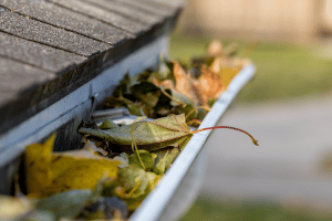 Memphis Gutter Repair and Cleaning Services AdobeStock 304788970 300x200